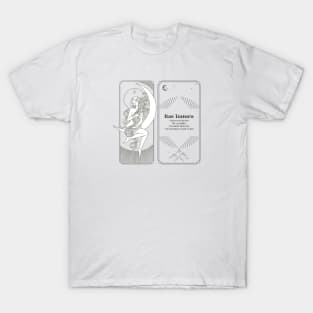 Meteorite Collector "Observed Fall: Ras Tanura" Meteorite T-Shirt